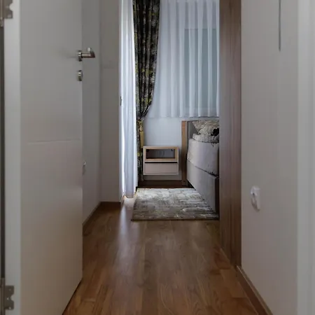 Savic Expres Apartman *